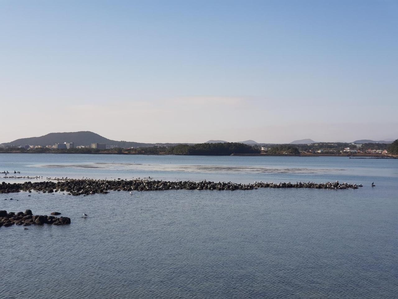 西归浦市普尔米尔旅馆别墅 外观 照片